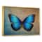 Designart - Blue Vintage Butterfly - Floral Art Framed Canvas Print